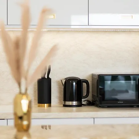 Penthouse Mini S Privatnou Virivou Vanou Apartmán *
